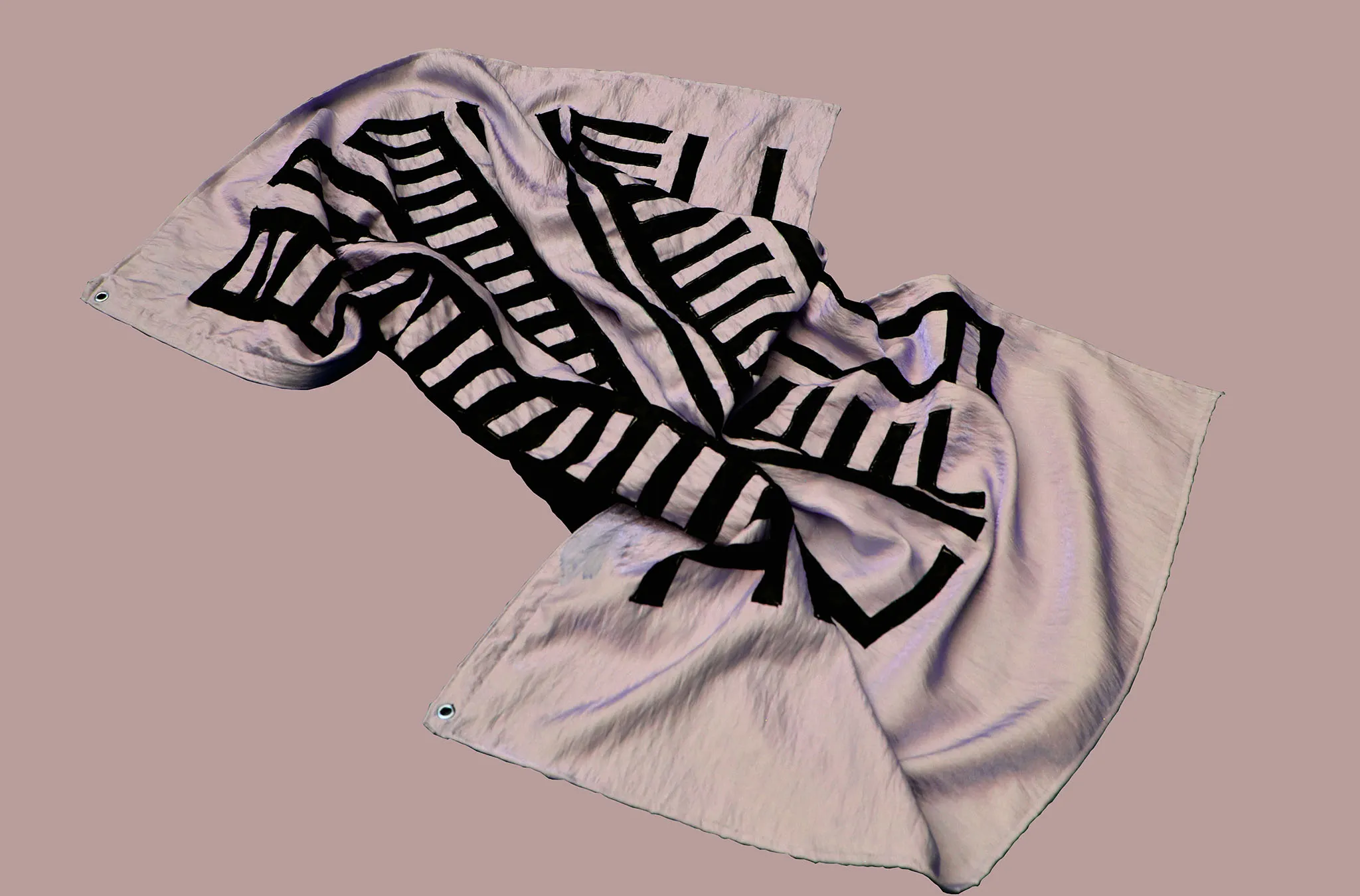 AMPLIFY FLAG.ROSAjpg